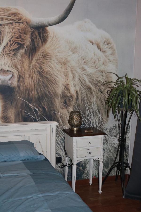 סאן מרטינו בואון אלברגו B&B Acquagrossa מראה חיצוני תמונה